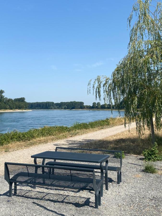 Ferienhaus Hoffmann Am Rheinbogen アルトルスハイム エクステリア 写真
