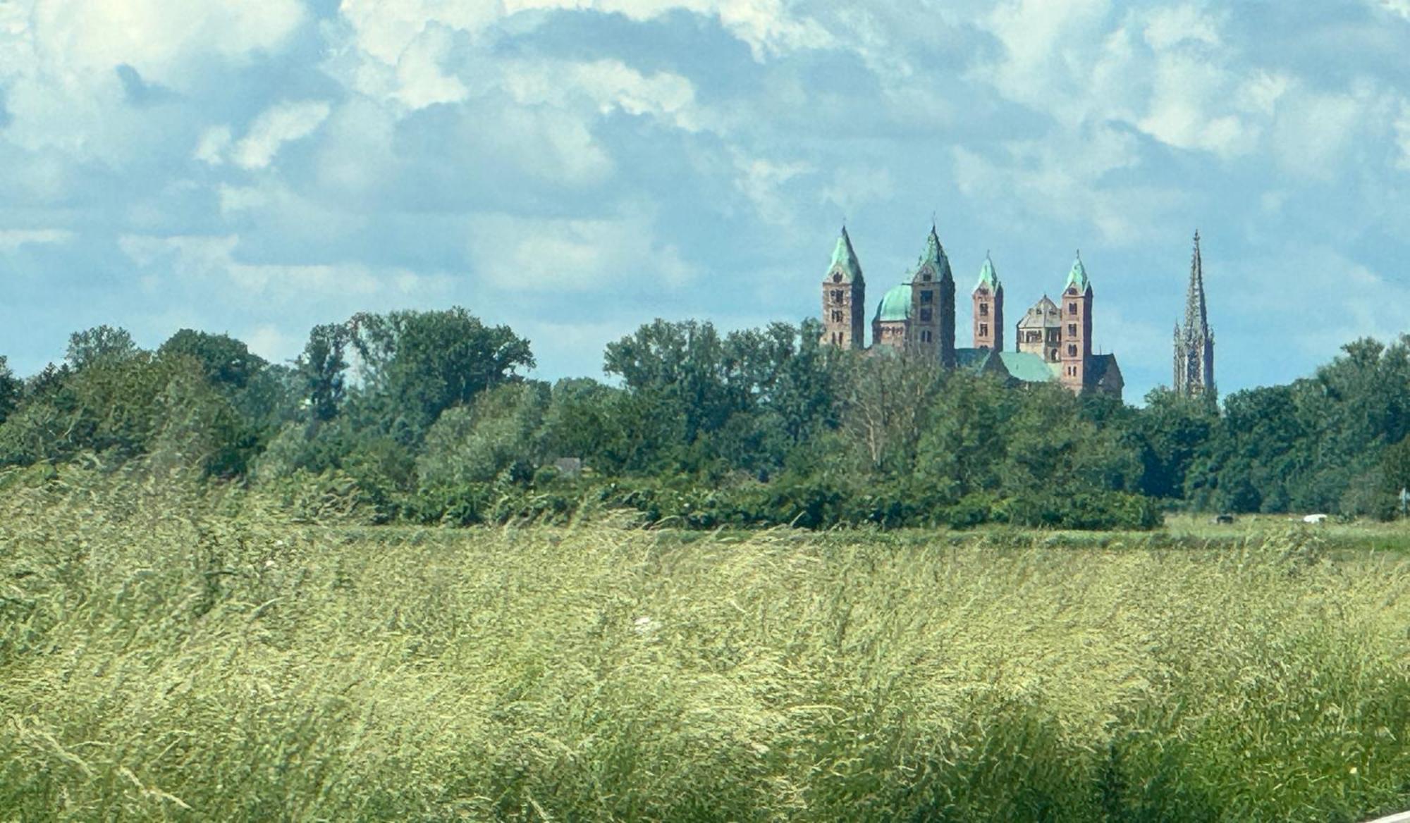 Ferienhaus Hoffmann Am Rheinbogen アルトルスハイム エクステリア 写真